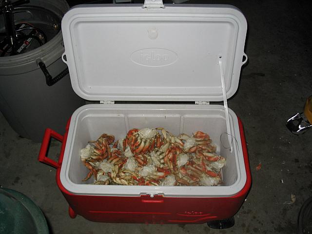 IMG 0389