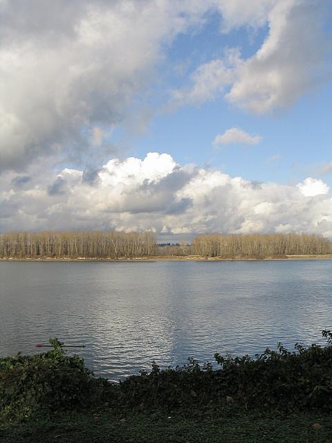 IMG 0528