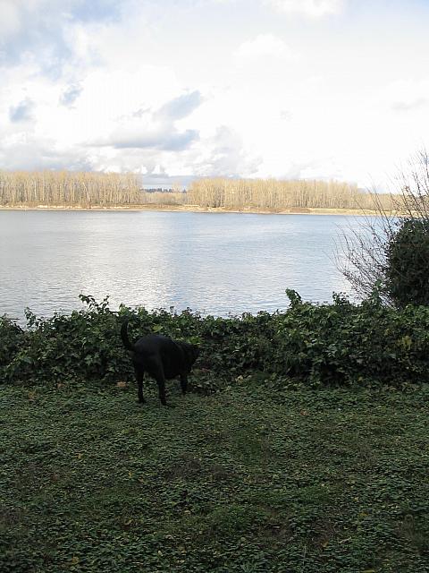 IMG 0529