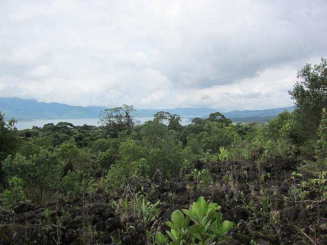 IMG 7443