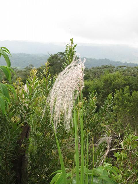 IMG 7473