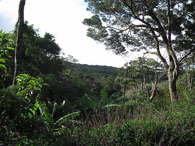 IMG 7586