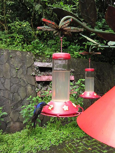 IMG 7775
