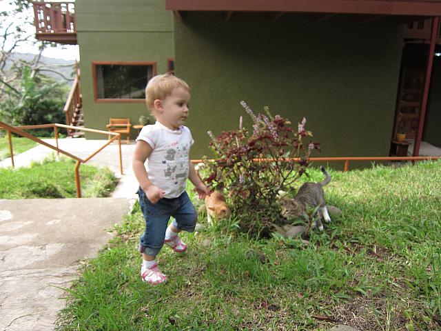 IMG 7892