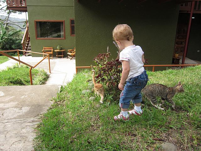 IMG 7895