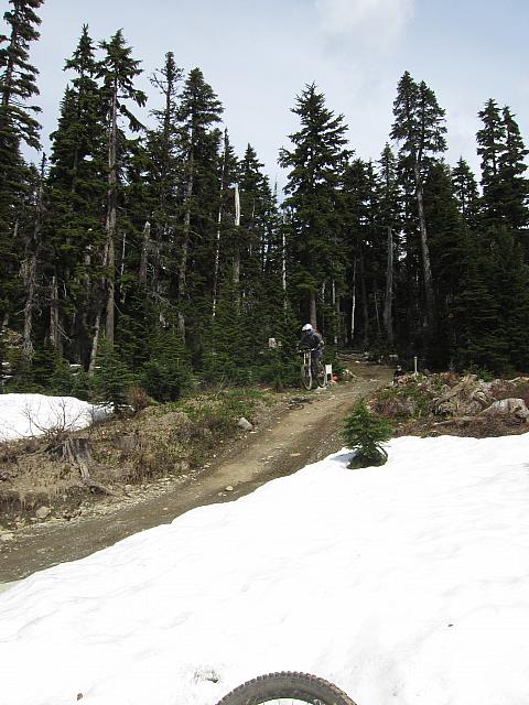 IMG 4612