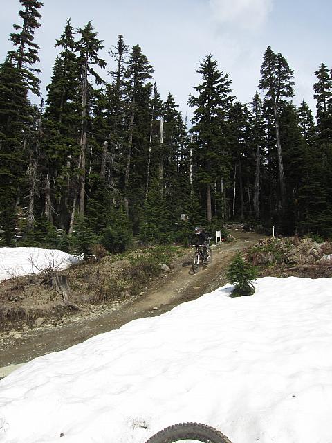 IMG 4617