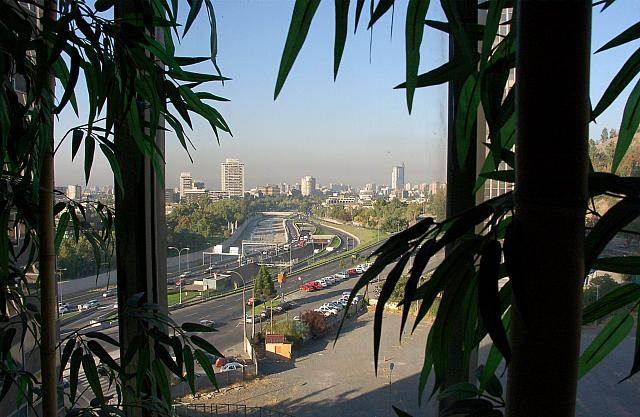 Picture 005