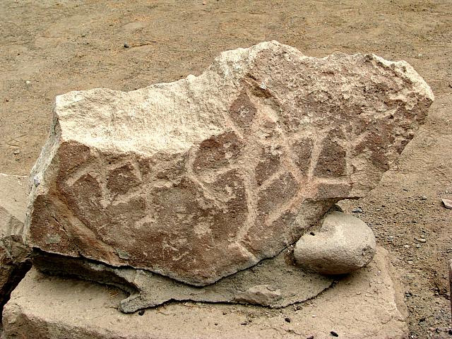 AZ013