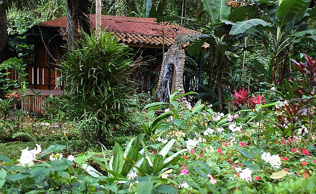 DSC 0004