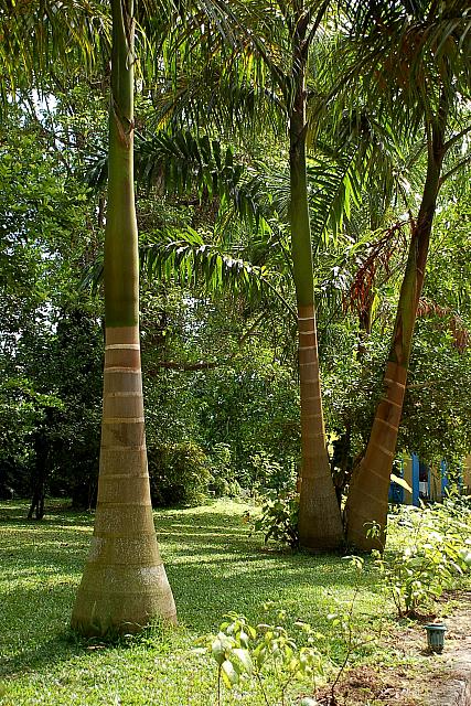 DSC 0020