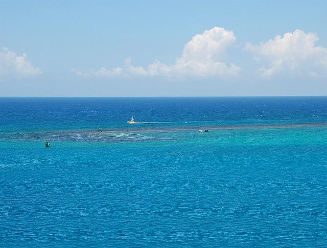 DSC 0038
