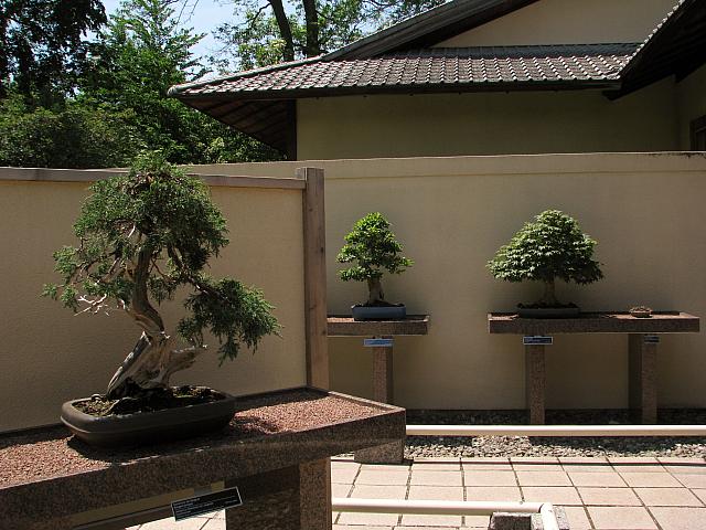 201107 1183