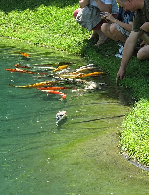 201107 1217