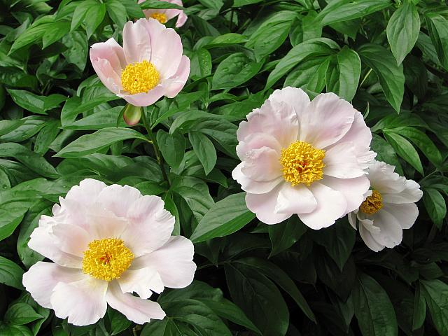 201107 713