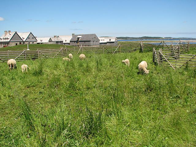 201107 516