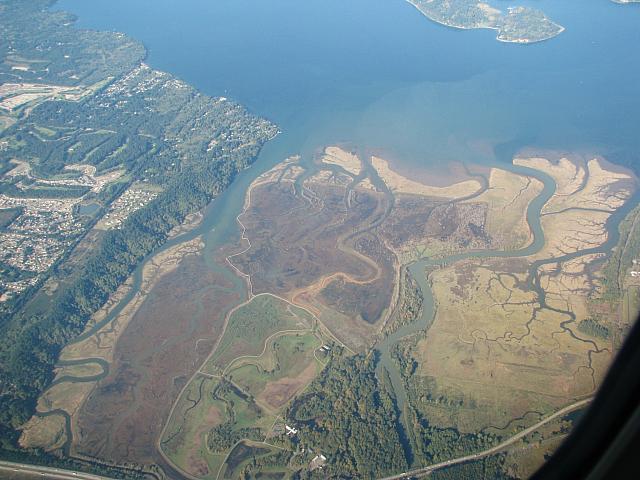 Nisqually River Delta...recently reclaimed as wetlands by removing dikes