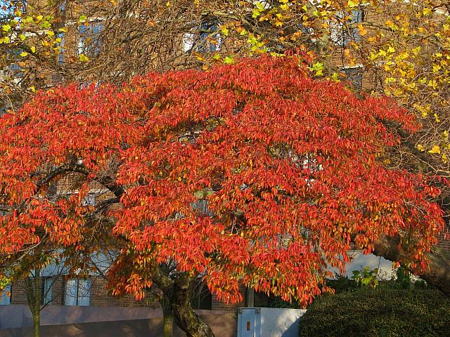 201111 027