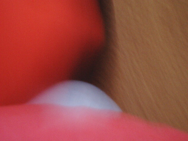 IMG 0139