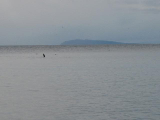 201202 046