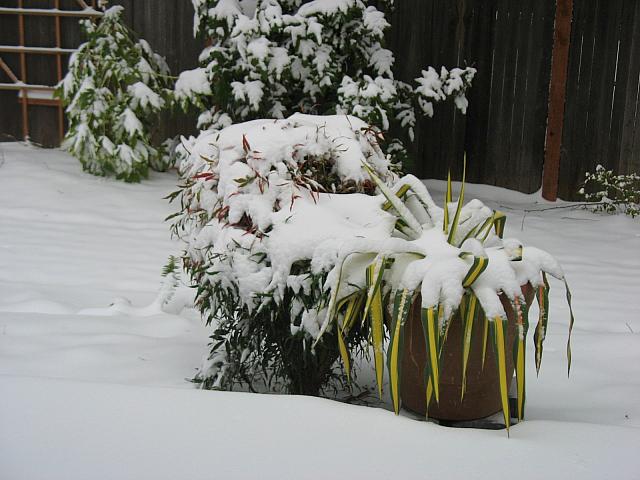 201202 003