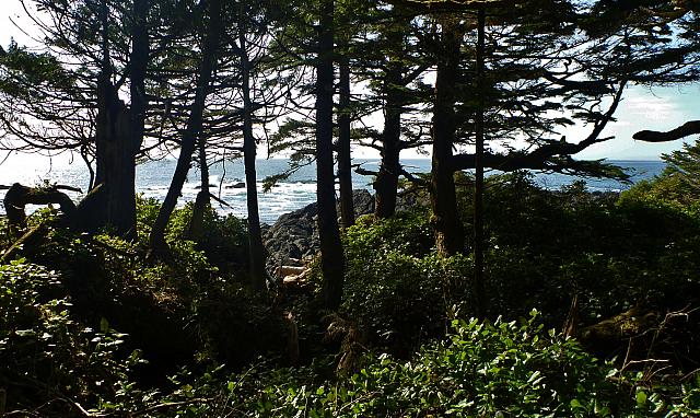 201203 043