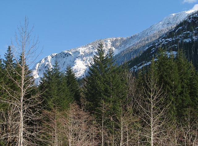 201203A 021