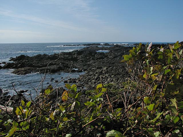 201203A 068