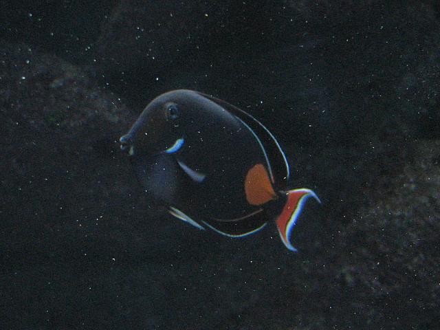 201205A2 1255
