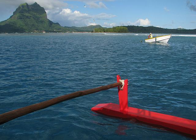 Outside the reef to swim with blacktip reef sharks