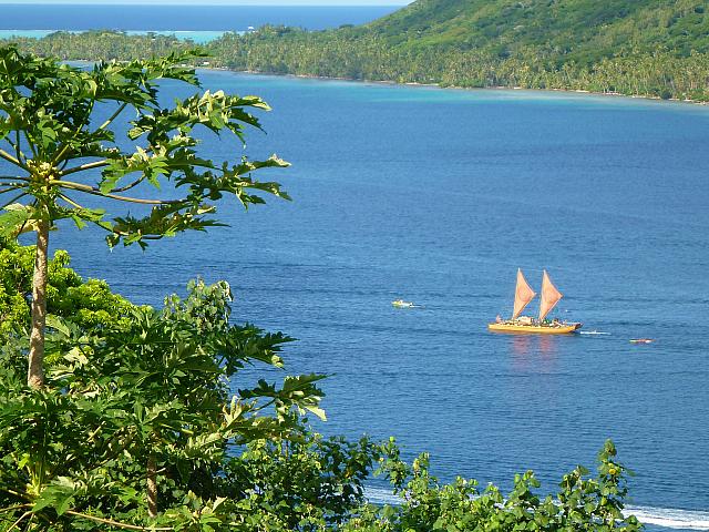 One of the vakas approaching Vaitape