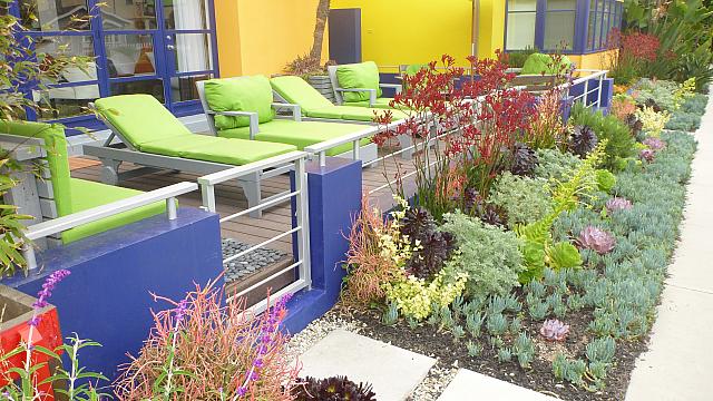 Venice Beach garden