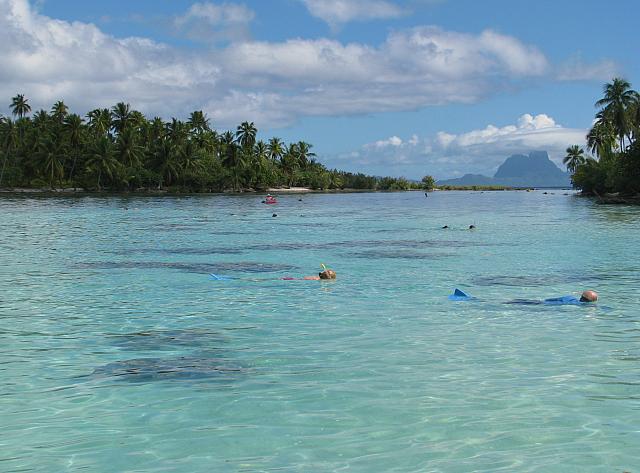 The coral garden with snorkelers in the foreground and Bora Bora in the background
