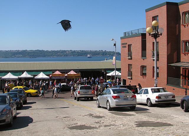 IMG 7086