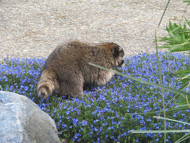 201305 011