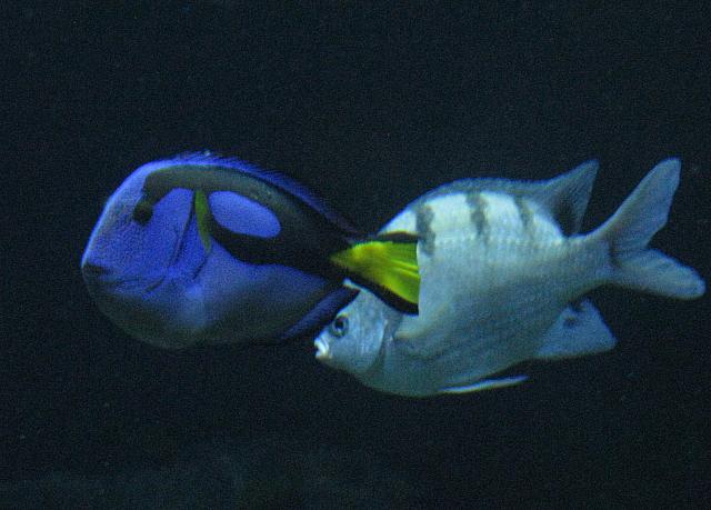 201306 117