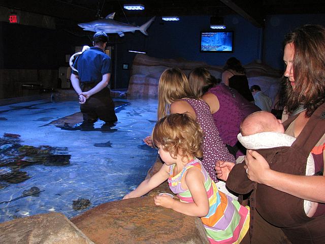 201307PDX 214