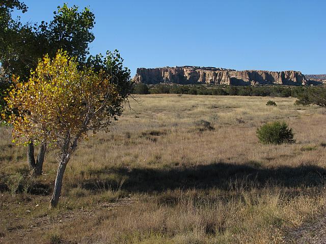 201310SW 020