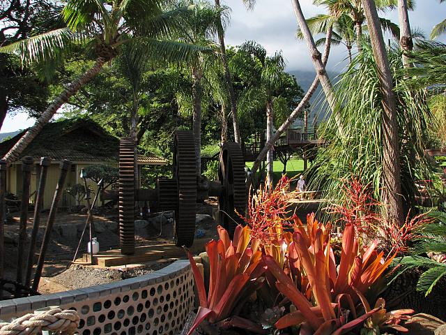 201312HawaiiA 437