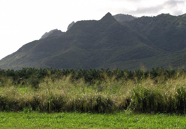 201312HawaiiA 597