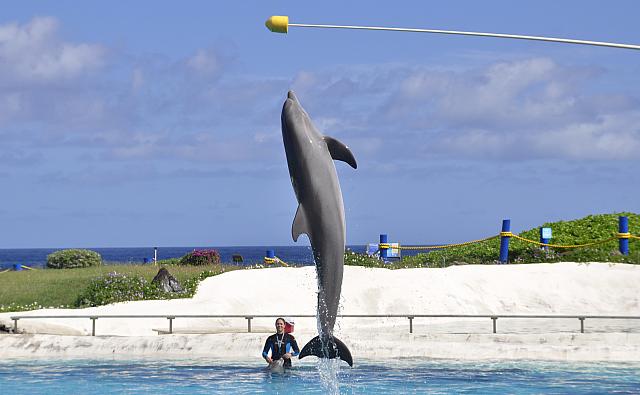 201312 Hawaii C 056