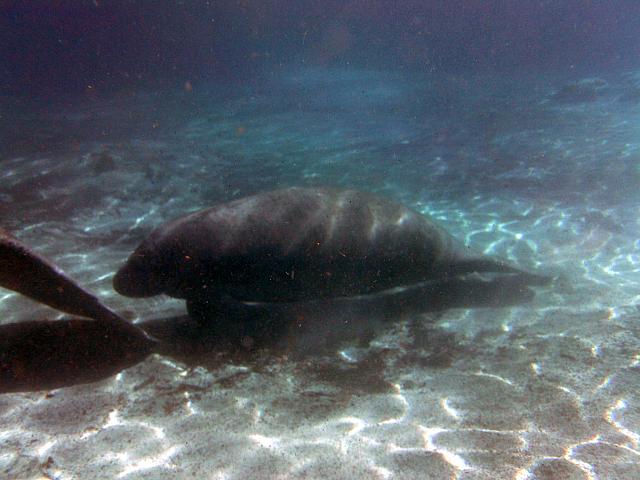 PICT0252