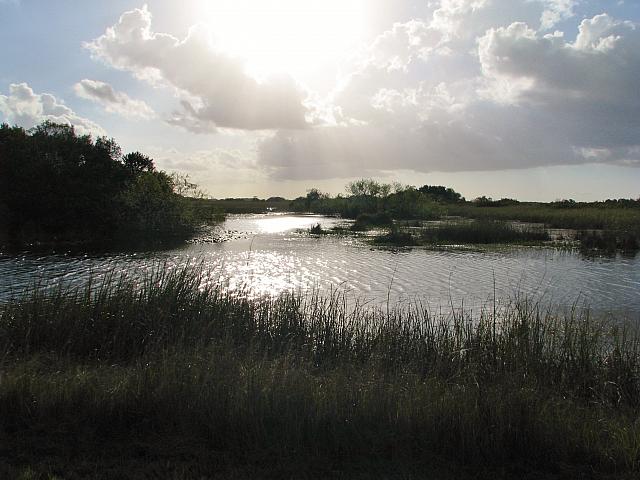 201402Carib 172