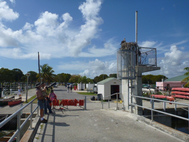 201402CaribK 546