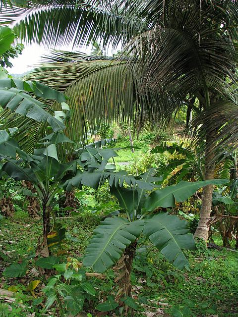 201402Carib 731