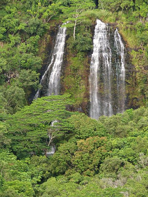 201501 Hawaii 173