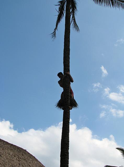 201501 Hawaii 415