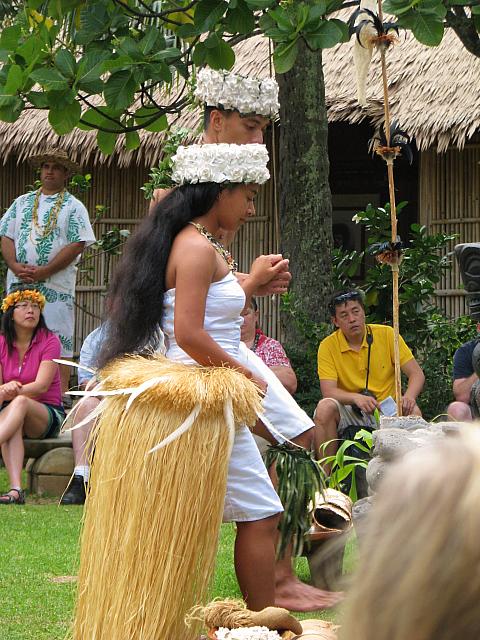 201501 Hawaii 459