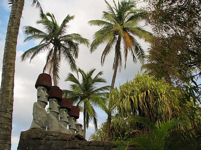 201501 Hawaii 476