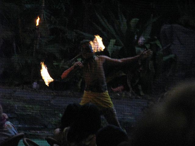 201501 Hawaii 493